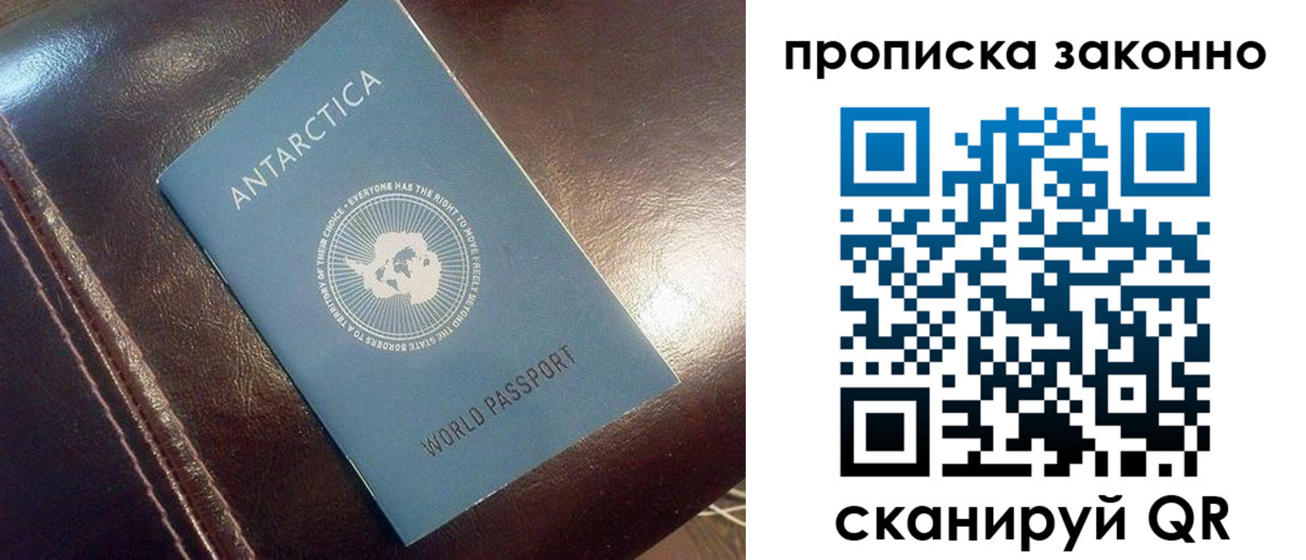 прописка в квартире в Острове
